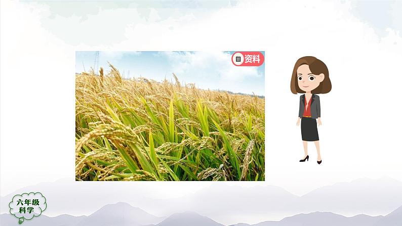 新人教鄂教版科学六上:2.5 植物的光合作用(2课时) PPT课件+视频02