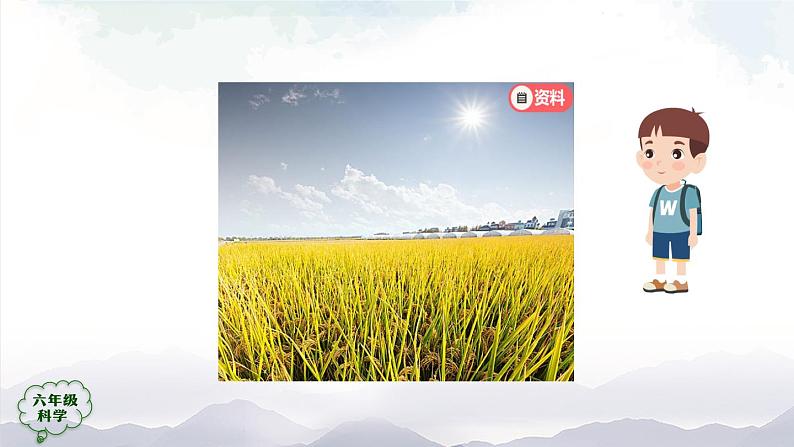 新人教鄂教版科学六上:2.5 植物的光合作用(2课时) PPT课件+视频06