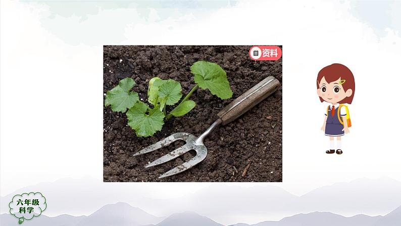 新人教鄂教版科学六上:2.5 植物的光合作用(2课时) PPT课件+视频08