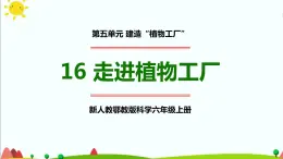 新人教鄂教版科学六上：5.16 走进植物工厂 课件 PPT课件