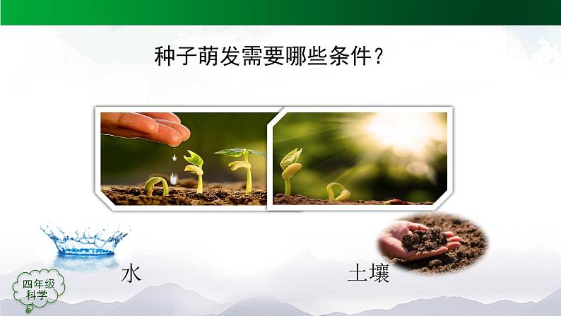 新人教鄂教版科学四上:2.4 用种子繁殖(3课时)PPT课件+内嵌视频06