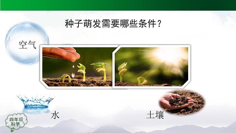 新人教鄂教版科学四上:2.4 用种子繁殖(3课时)PPT课件+内嵌视频07