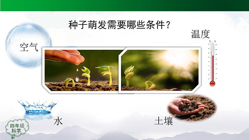 新人教鄂教版科学四上:2.4 用种子繁殖(3课时)PPT课件+内嵌视频08