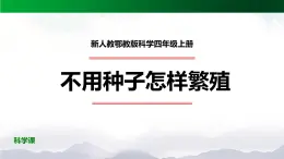 新人教鄂教版科学四上：2.5 不用种子怎样繁殖 PPT课件