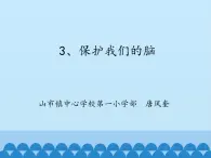 湘科版 (2017)  五年级上册  1.3、保护我们的脑 课件