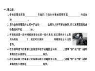 面包发霉了PPT课件免费下载