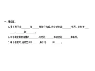 科教版四年级下册科学 第5课时种子的萌发 习题课件