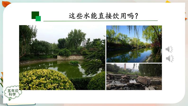 新人教鄂教版五上科学:3.8 水中的微小生物(第1课时)PPT课件+教案+内嵌视频06