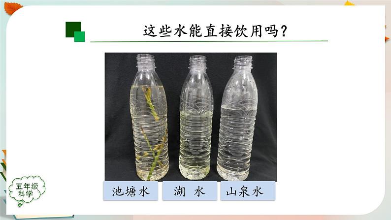 新人教鄂教版五上科学:3.8 水中的微小生物(第1课时)PPT课件+教案+内嵌视频07
