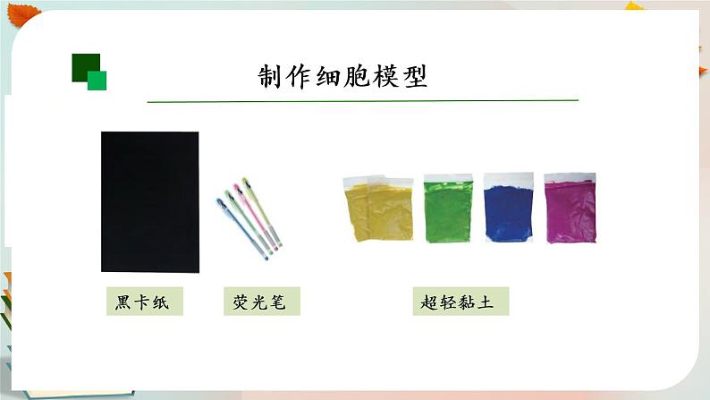 显微镜下的细胞 第二课时 课件PPT+视频第6页
