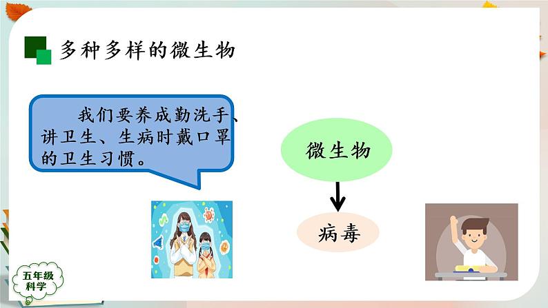 新人教鄂教版五上科学:第三单元 显微镜下的生物世界 回顾课件PPT+内嵌视频第7页