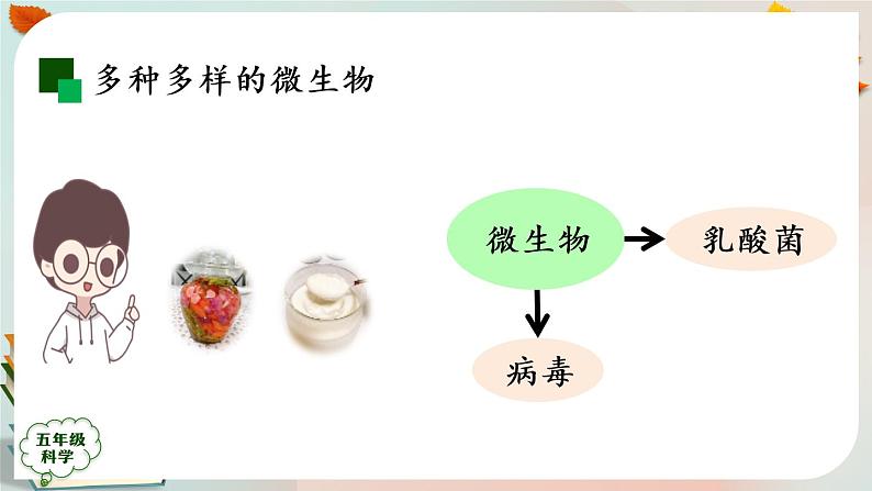 新人教鄂教版五上科学:第三单元 显微镜下的生物世界 回顾课件PPT+内嵌视频第8页