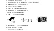 小学苏教版 (2017)第1单元 光与色彩3 光的反射练习