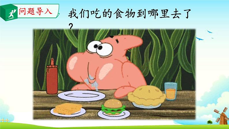 大象版 (2017) 科学四年级上册 5.1一次神奇的旅行 课件(含视频)02