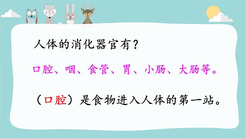 大象版 (2017) 科学四年级上册 5.2口腔“历险记” 课件(含视频)02