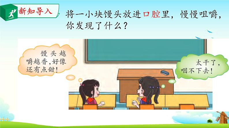 大象版 (2017) 科学四年级上册 5.2口腔“历险记” 课件(含视频)03