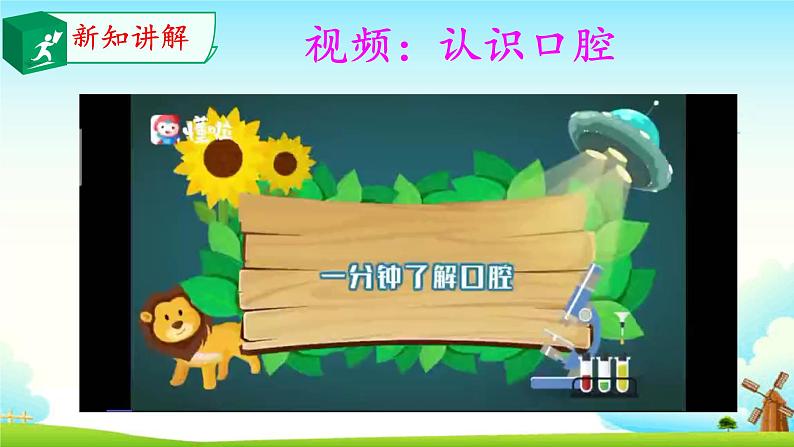 大象版 (2017) 科学四年级上册 5.2口腔“历险记” 课件(含视频)04