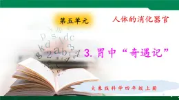 大象版 (2017)  科学四年级上册 5.3胃中“奇遇记” 课件（含视频）