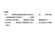 四年级下册科学 23导体与绝缘体 习题课件