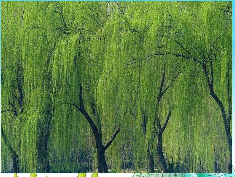 教科版 (2017) 科学二年级上册 1.6《不同的季节》课件(33张PPT)07