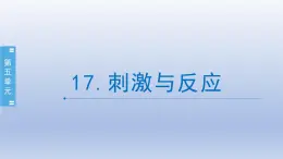 小学科学苏教版五年级上册第五单元第17课《刺激与反应》课件（10张PPT）