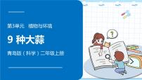 小学科学青岛版 (六三制2017)二年级上册9 种大蒜教课ppt课件