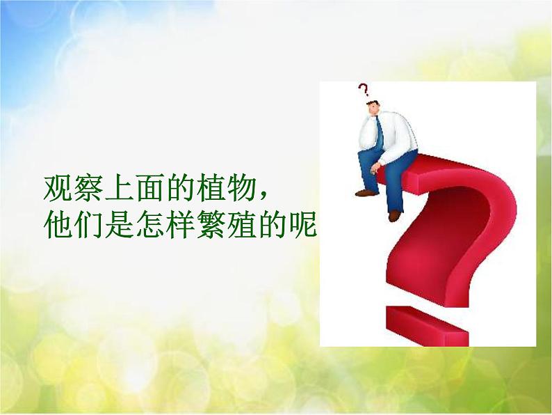 苏教小学科学五下《3.1.不用种子也能繁殖吗》PPT课件05