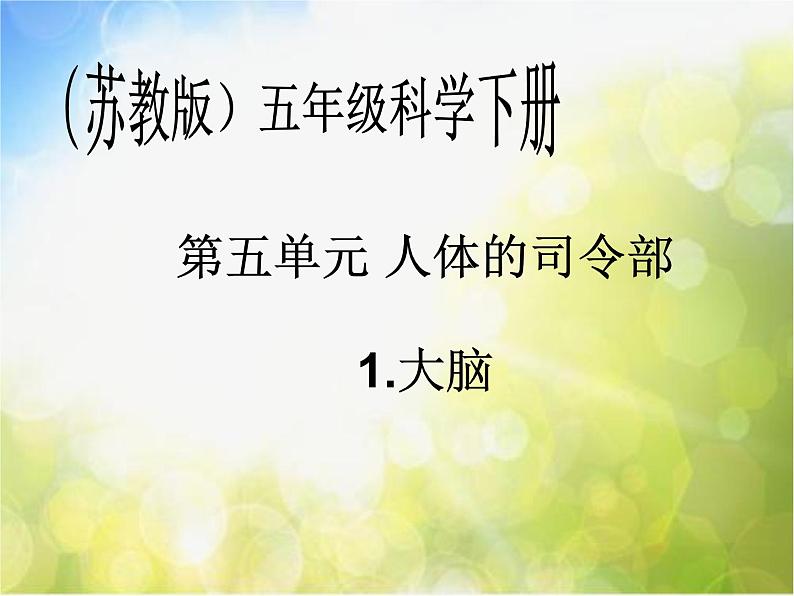 苏教小学科学五下《5.1.大脑》PPT课件02