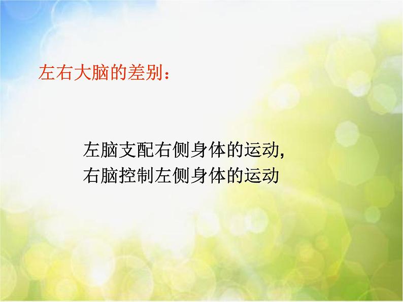 苏教小学科学五下《5.1.大脑》PPT课件06