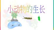 小学科学冀教版四年级下册第四单元 生长与变化14 小动物的生长背景图ppt课件
