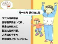 湘科版科学五年级上册 1.1人体对刺激的反应（课件）