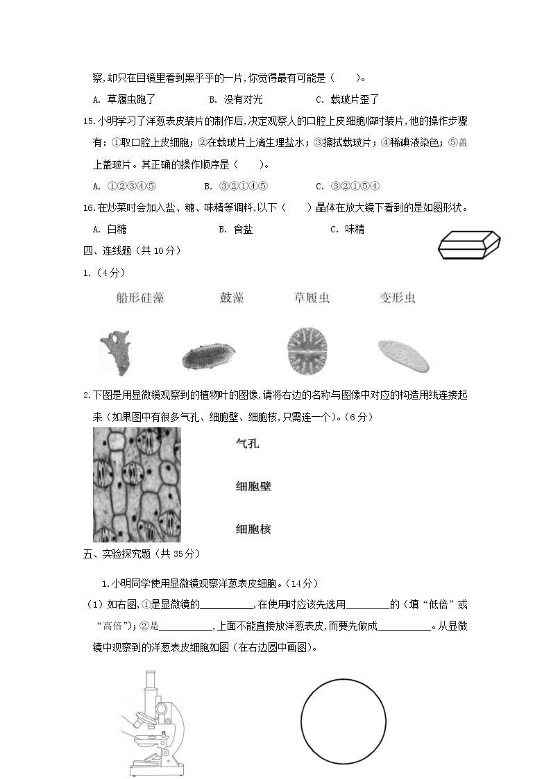 六年级下册科学试题  第一单元 微小世界 教科版 (有答案)03