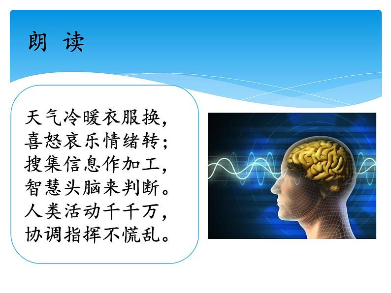 湘科版五年级科学上册1.2人体指挥部—脑(课件)02