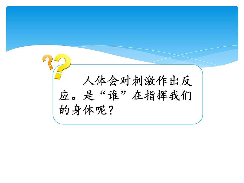 湘科版五年级科学上册1.2人体指挥部—脑(课件)03