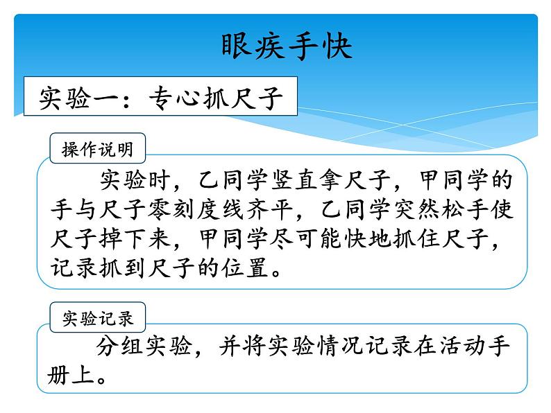 湘科版五年级科学上册1.2人体指挥部—脑(课件)04