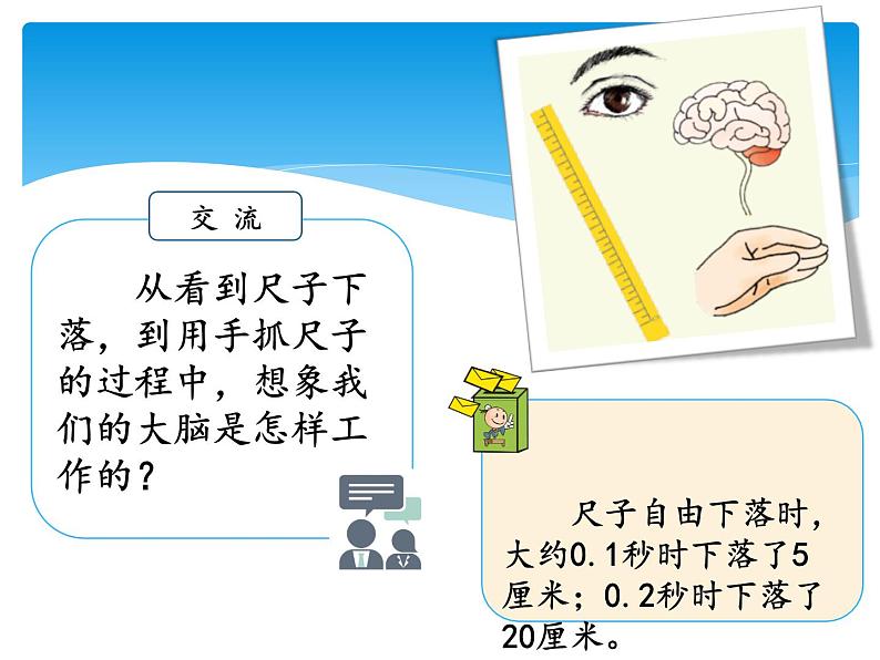 湘科版五年级科学上册1.2人体指挥部—脑(课件)05
