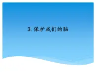 湘科版五年级科学上册1.3保护我们的脑（课件）