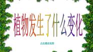 小学科学教科版三年级上册6、植物发生了什么变化备课课件ppt