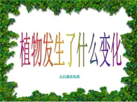 教科小学科学三上《1.6、植物发生了什么变化》PPT课件(3)