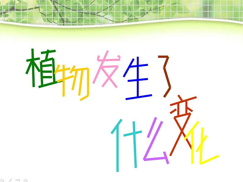 教科小学科学三上《1.6、植物发生了什么变化》PPT课件(12)05