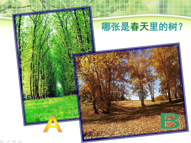 教科小学科学三上《1.6、植物发生了什么变化》PPT课件(12)06