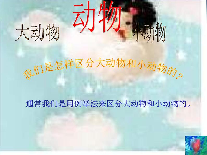 教科小学科学三上《2.1、寻访小动物》PPT课件(10)第2页