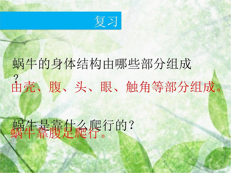教科小学科学三上《2.3、蜗牛(二)》PPT课件(1)02