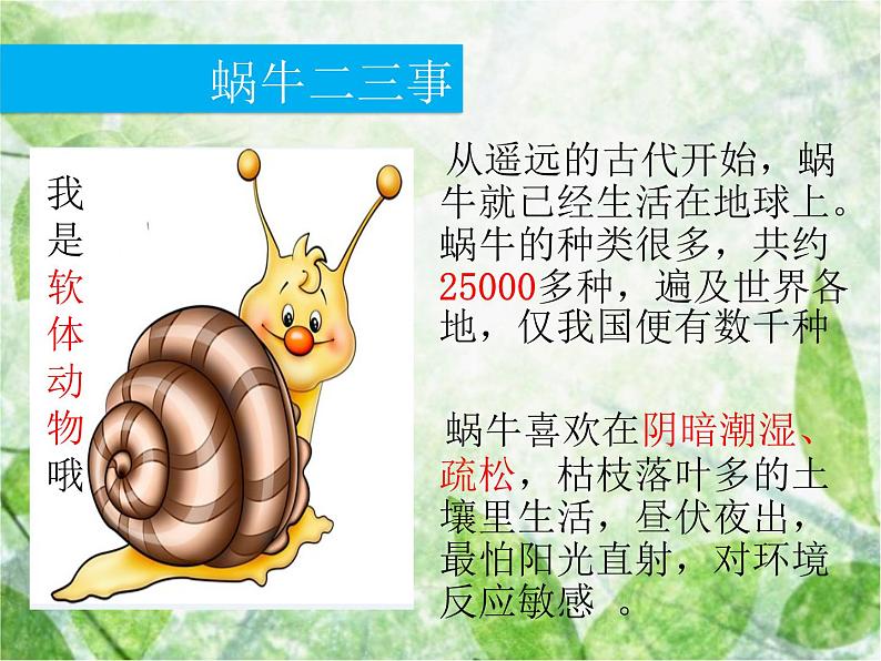教科小学科学三上《2.3、蜗牛(二)》PPT课件(1)03