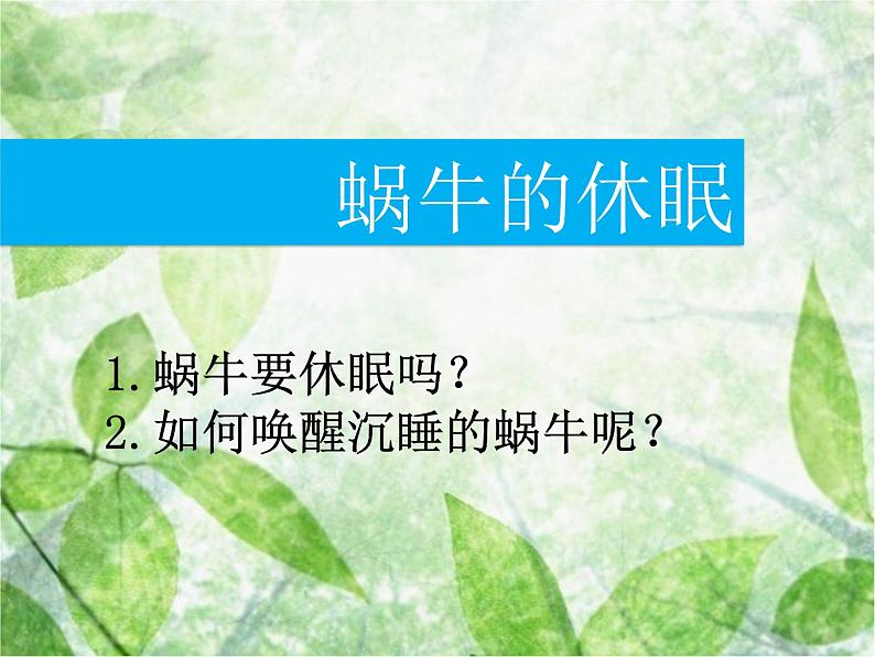 教科小学科学三上《2.3、蜗牛(二)》PPT课件(1)04