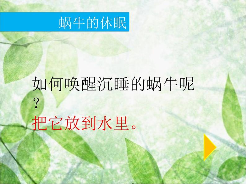 教科小学科学三上《2.3、蜗牛(二)》PPT课件(1)06
