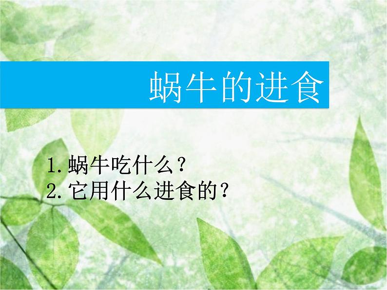 教科小学科学三上《2.3、蜗牛(二)》PPT课件(1)07