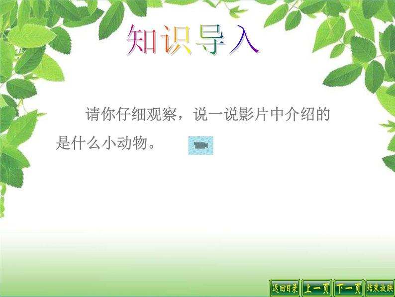 教科小学科学三上《2.3、蜗牛(1)》PPT课件(3)第2页