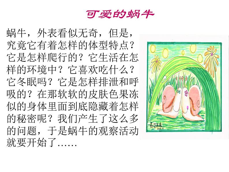 教科小学科学三上《2.2、蜗牛(一)》PPT课件(1)第1页