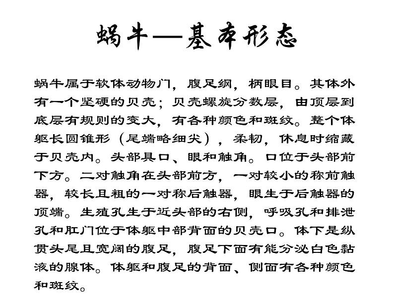 教科小学科学三上《2.2、蜗牛(一)》PPT课件(1)第6页